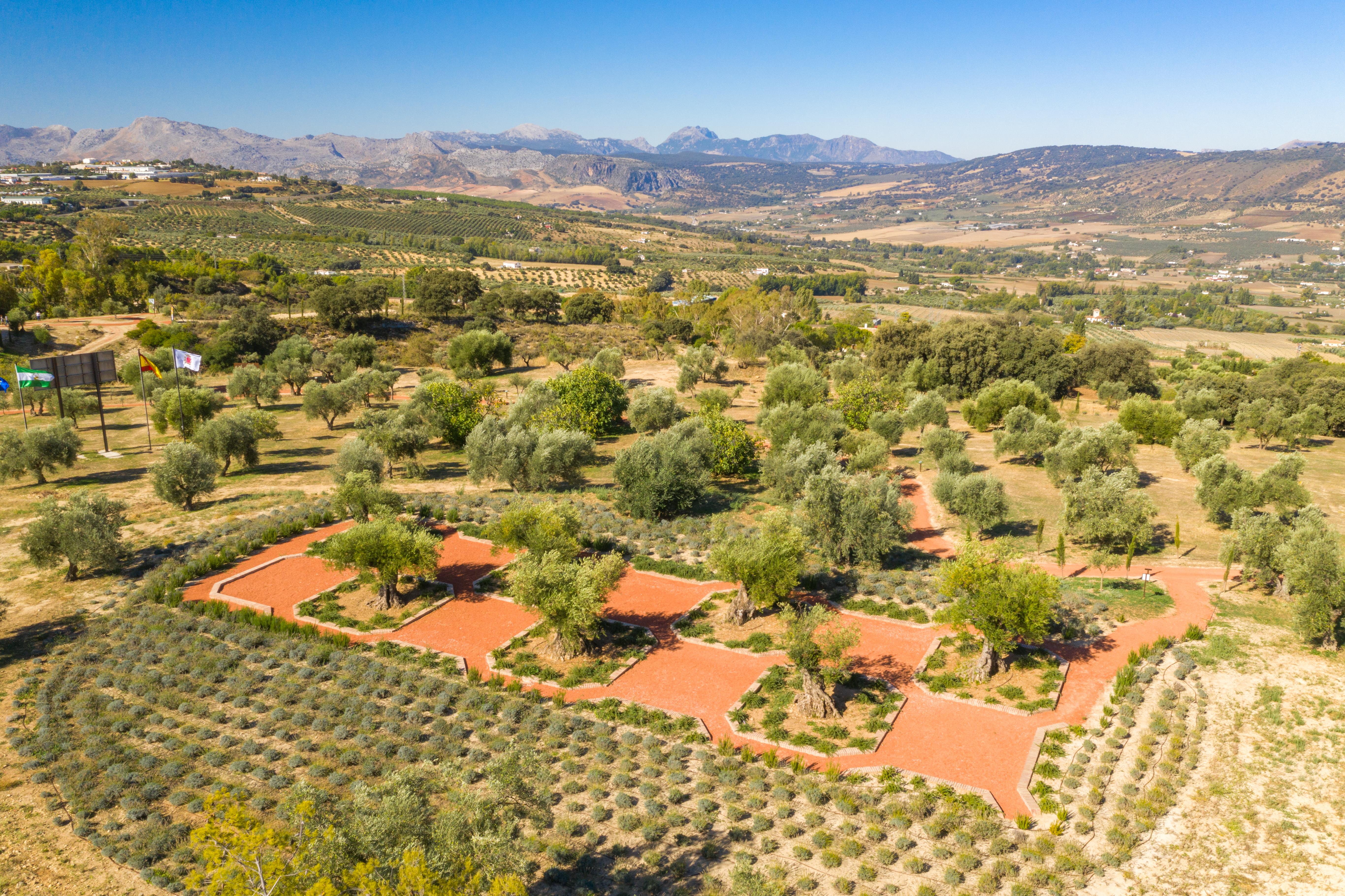 Hotel Cortijo La Organic