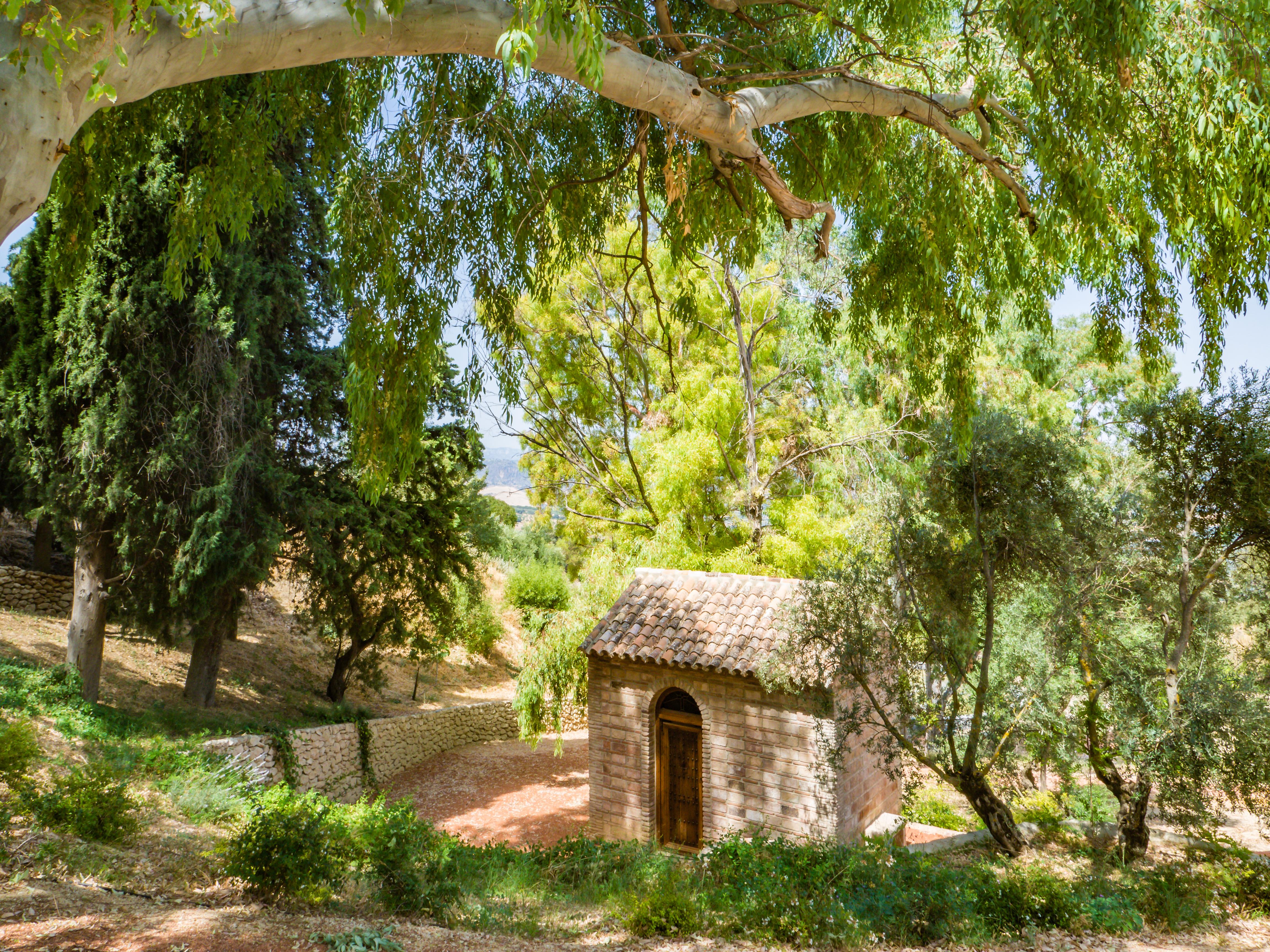 Hotel Cortijo La Organic 3*
